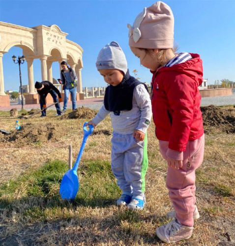 TREE-PLANTING CAMPAIGNS